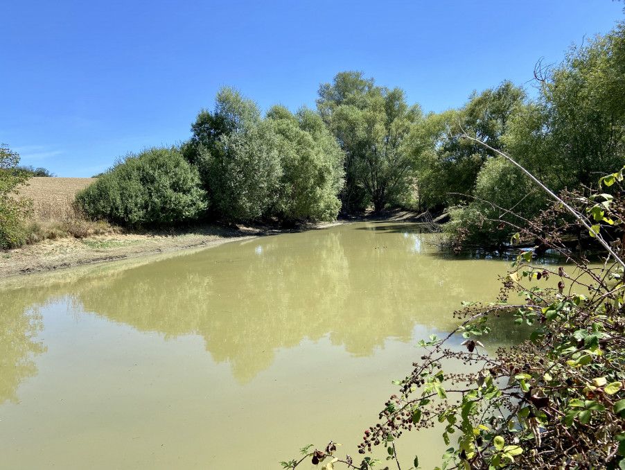 Property photo 2 of 39