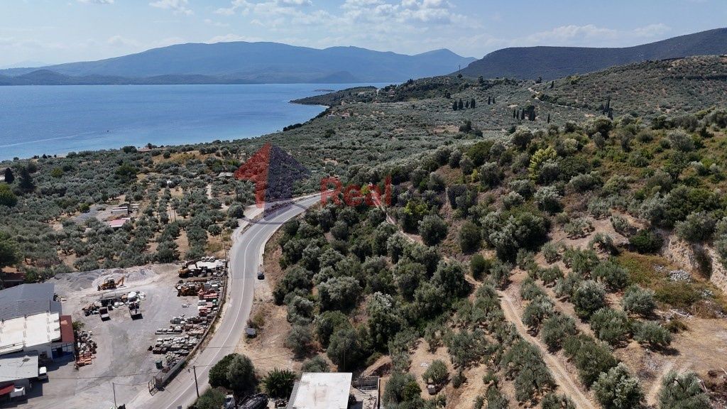 Property photo 2 of 25