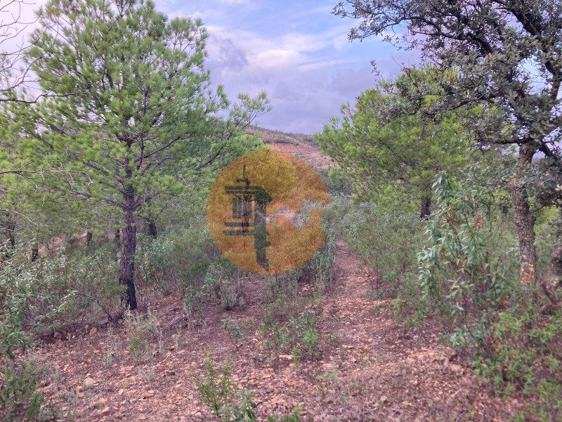 Property photo 1 of 33