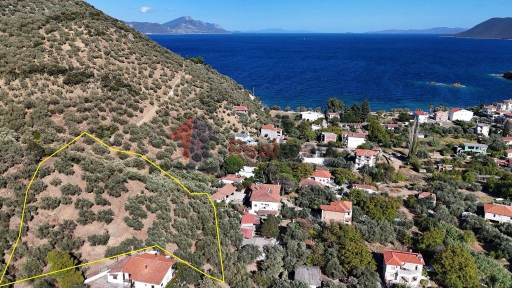 Property photo 1 of 12