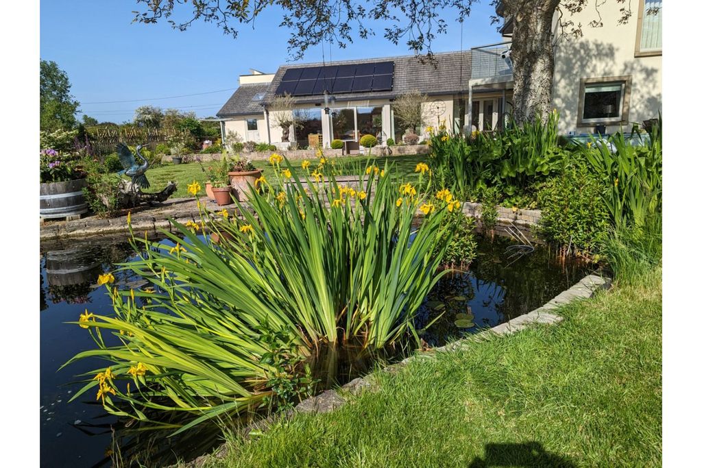 Property photo 2 of 46 Pond