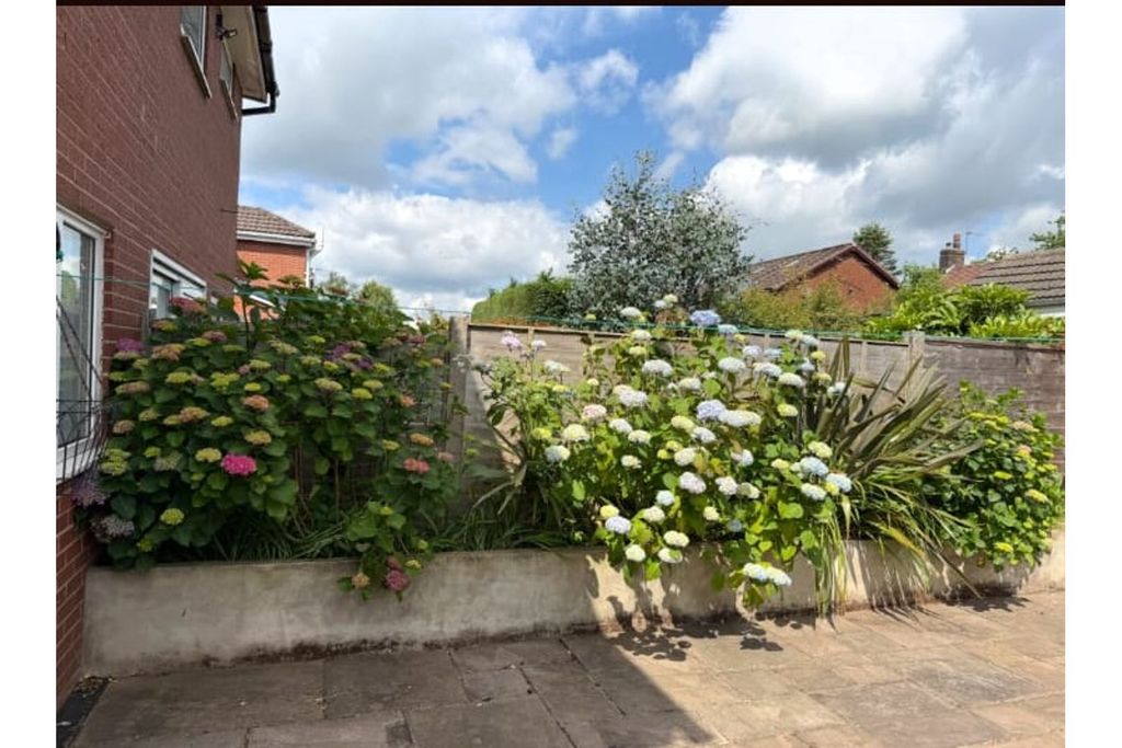 Property photo 2 of 24