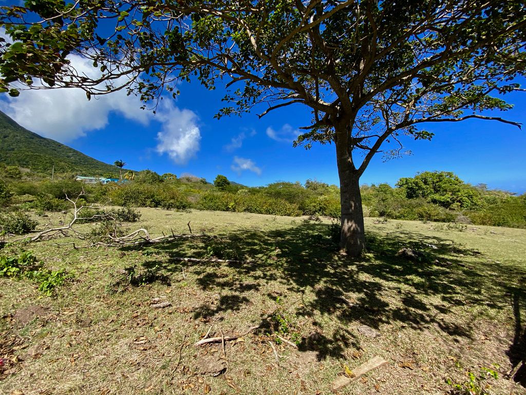Property photo 3 of 4