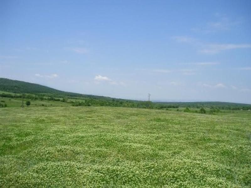 Property photo 1 of 2