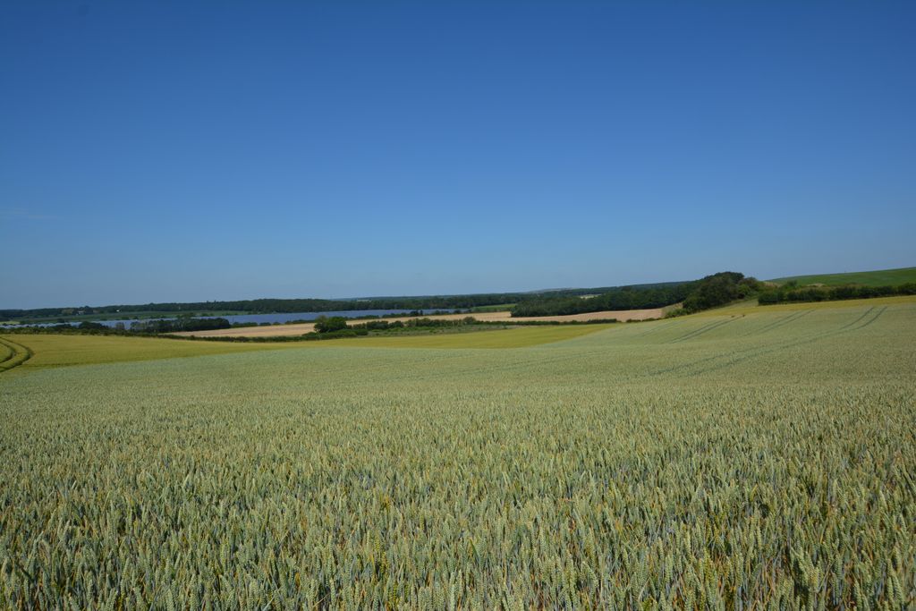 Additional image 4 of Land for saleBilsthorpe Road, Eakring NG22