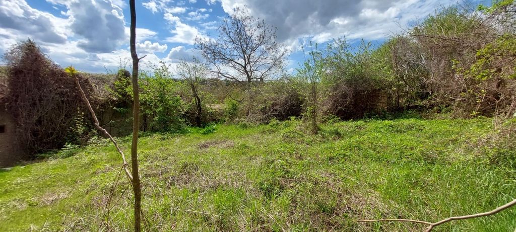 Property photo 3 of 52 Open Grassy Yard Area Surrounded By Stone Walls And Dense Bushes With A Tree In The Center