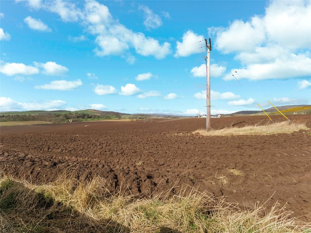 Property photo 2 of 20 Open Rear Views