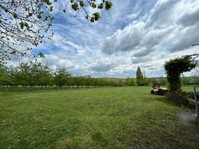 Property photo 3 of 17