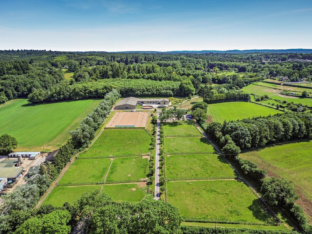 Additional image 26 of 5 bed equestrian for saleChurt Road, Churt, Farnham, Surrey GU10