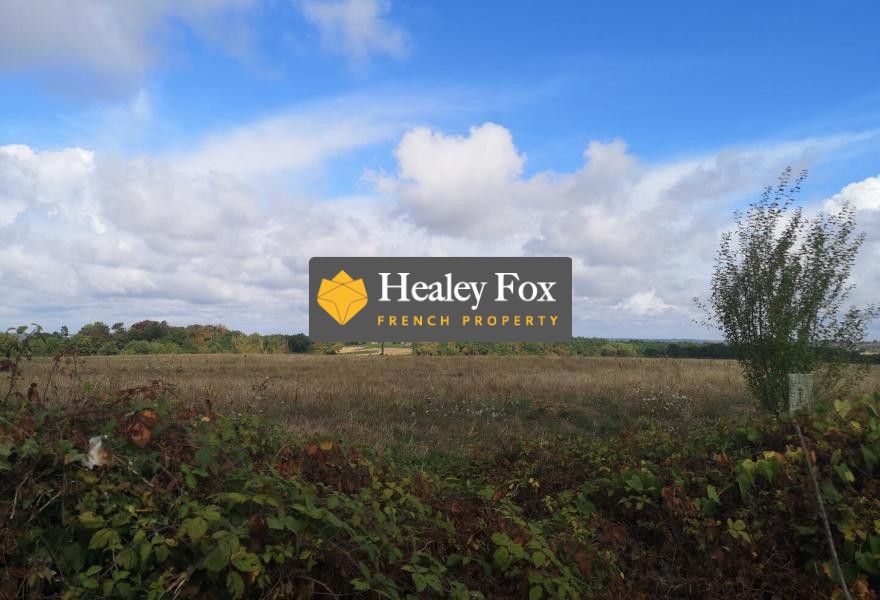 Property photo 3 of 22