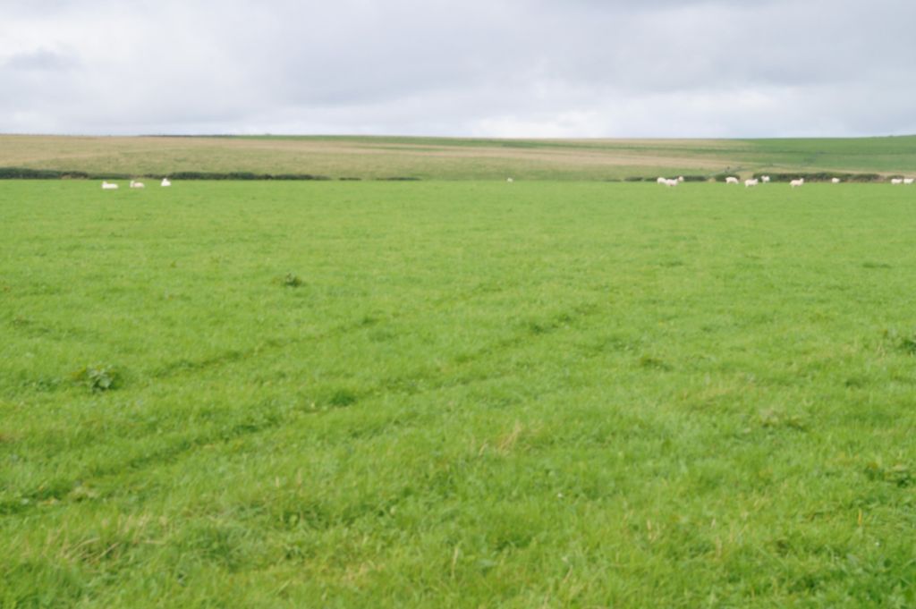 Additional image 7 of Land for saleTagarreg, Llandysul, 4EU SA44