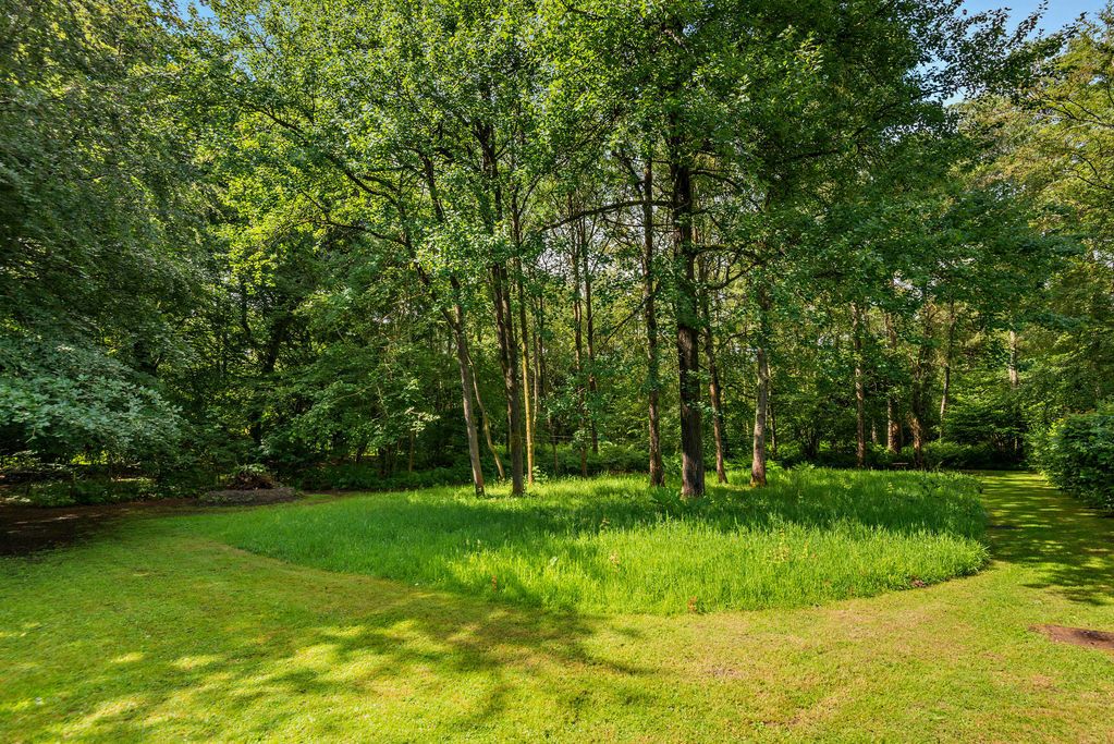 Property photo 3 of 66 Photo 11
