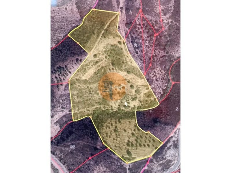 Property photo 2 of 24