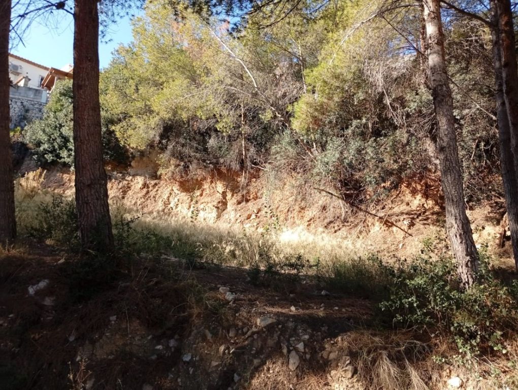 Property photo 1 of 6