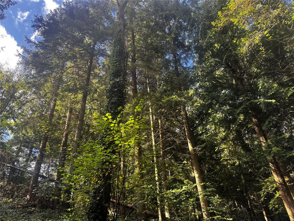 Property photo 2 of 30 Picture No. 14