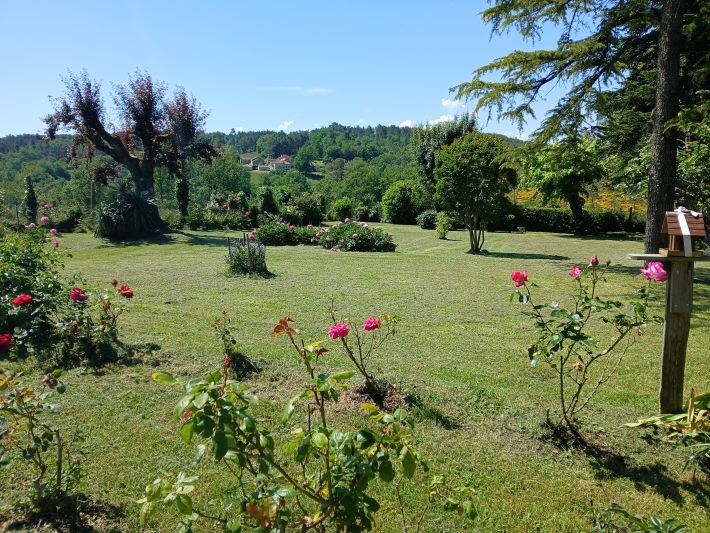 Property photo 3 of 20