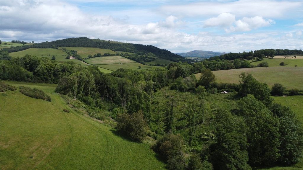 Additional image 8 of Land for saleSarn, Newtown, Powys SY16