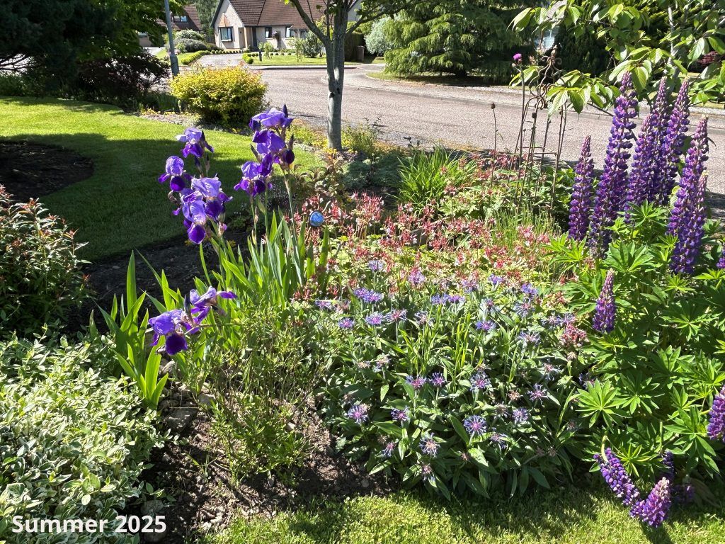 Property photo 3 of 25