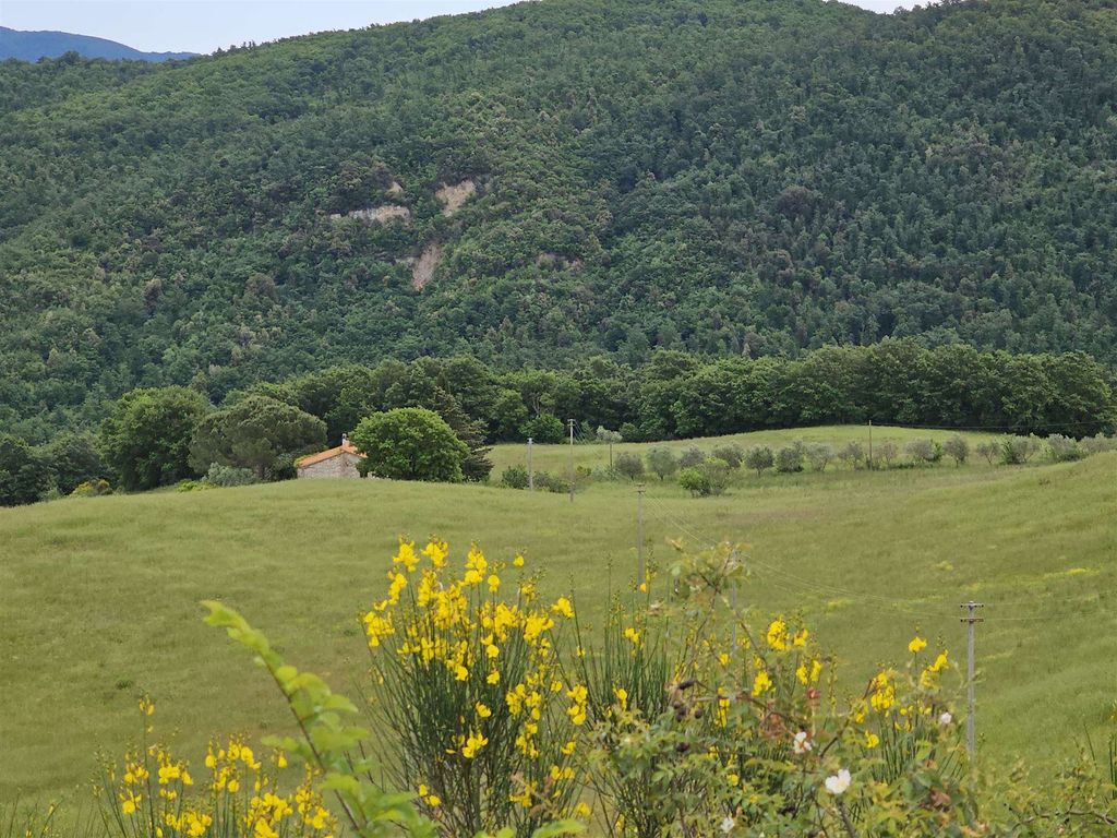 Property photo 3 of 30