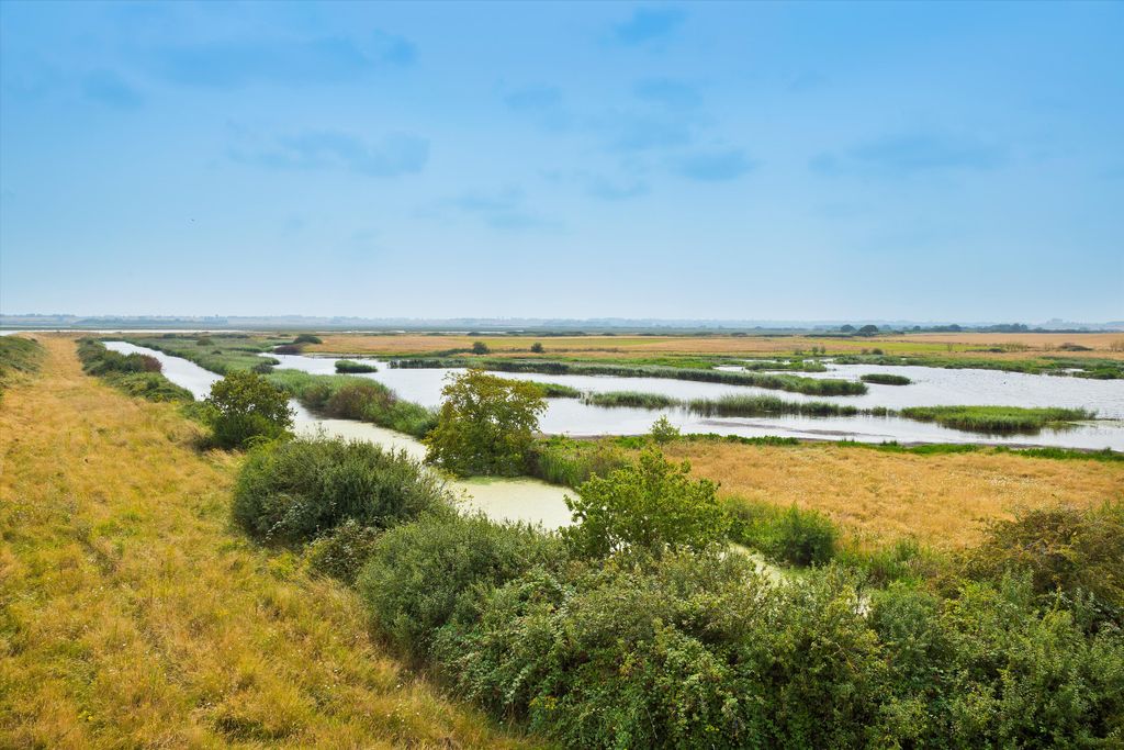 Additional image 17 of 8 bed farm for saleGreat Oakley Hall Estate, Essex CO12
