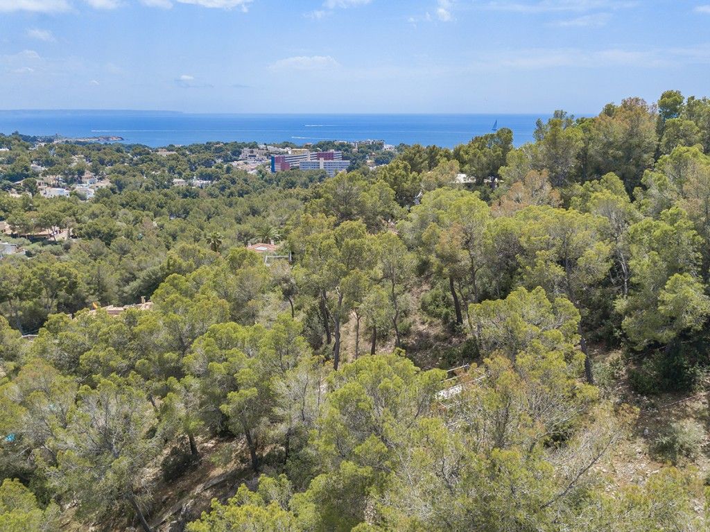 Property photo 3 of 12 Aerial (3)