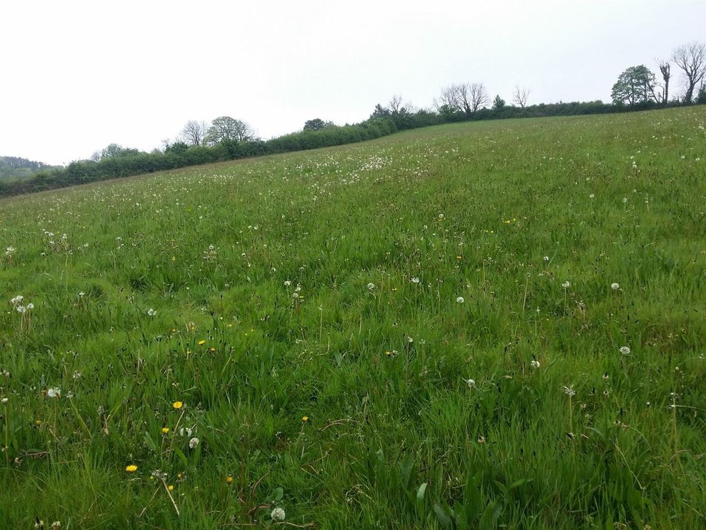 Property photo 2 of 12 20220506_164917.Jpg