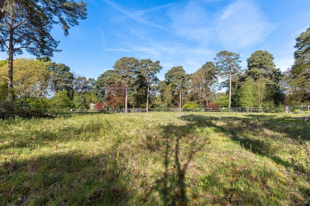 Property photo 3 of 12 Image