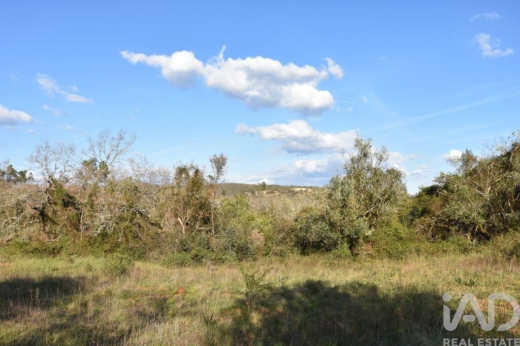 Property photo 1 of 36
