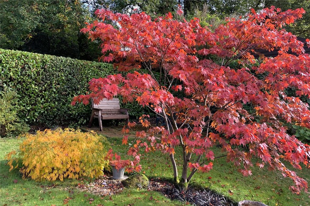 Property photo 3 of 28 Picture No. 45