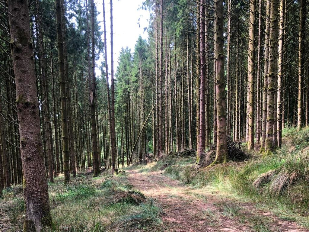 Property photo 3 of 8 Loxbeare Wood