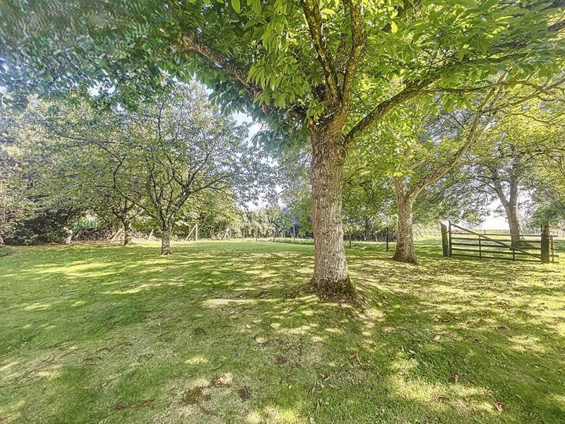 Property photo 2 of 14 Photo 14