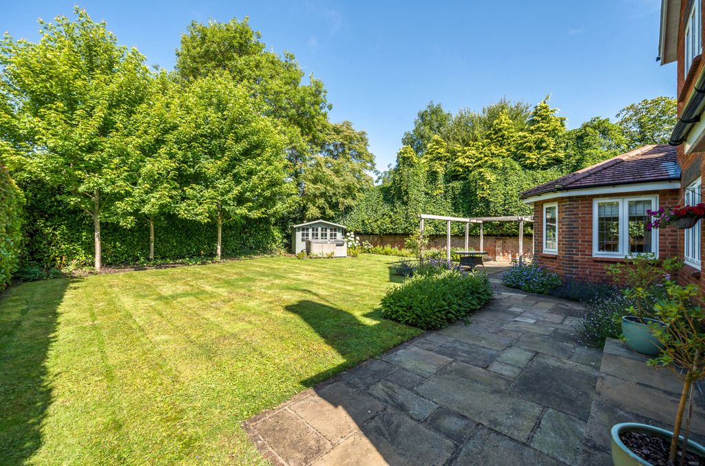 Additional image 20 of Something went wrong