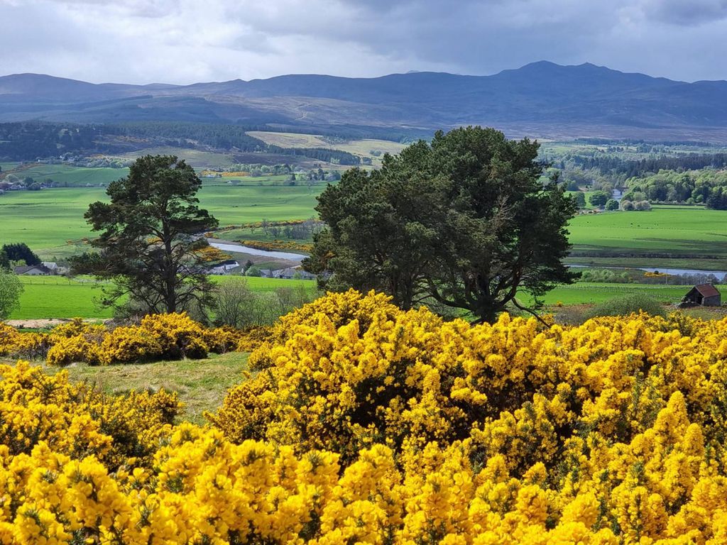 Property photo 2 of 12