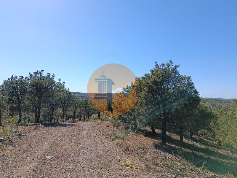 Property photo 1 of 32