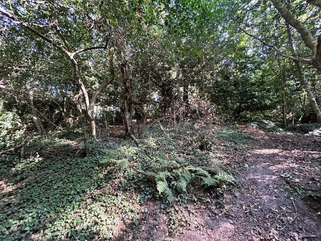Property photo 3 of 4