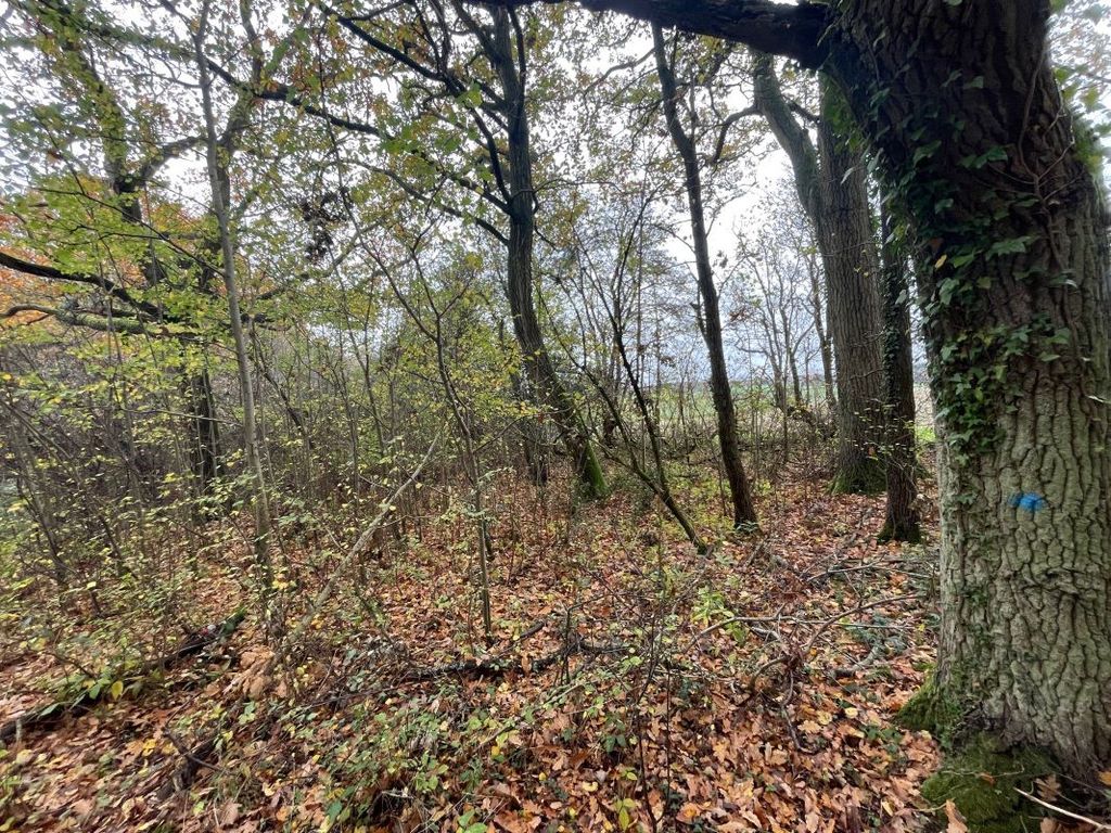 Property photo 3 of 5