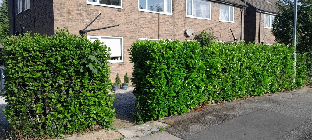 Property photo 3 of 9