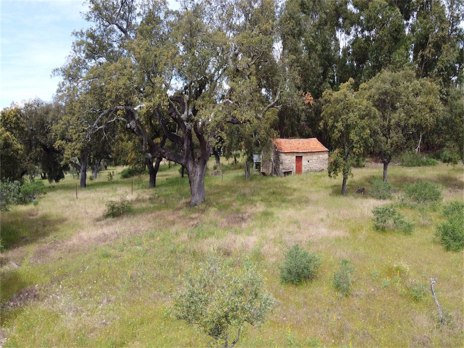 Property photo 2 of 27