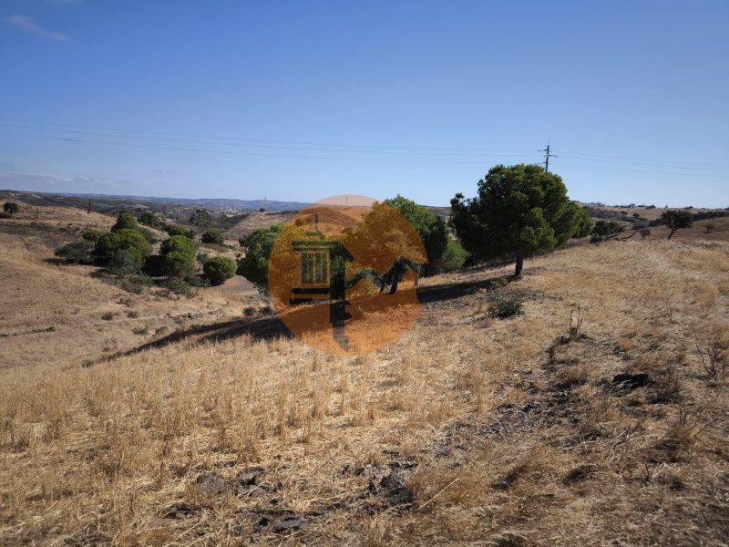 Property photo 1 of 31