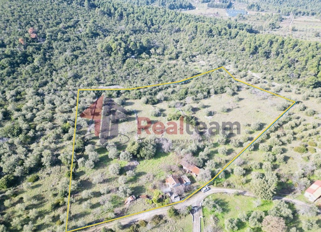 Property photo 3 of 25