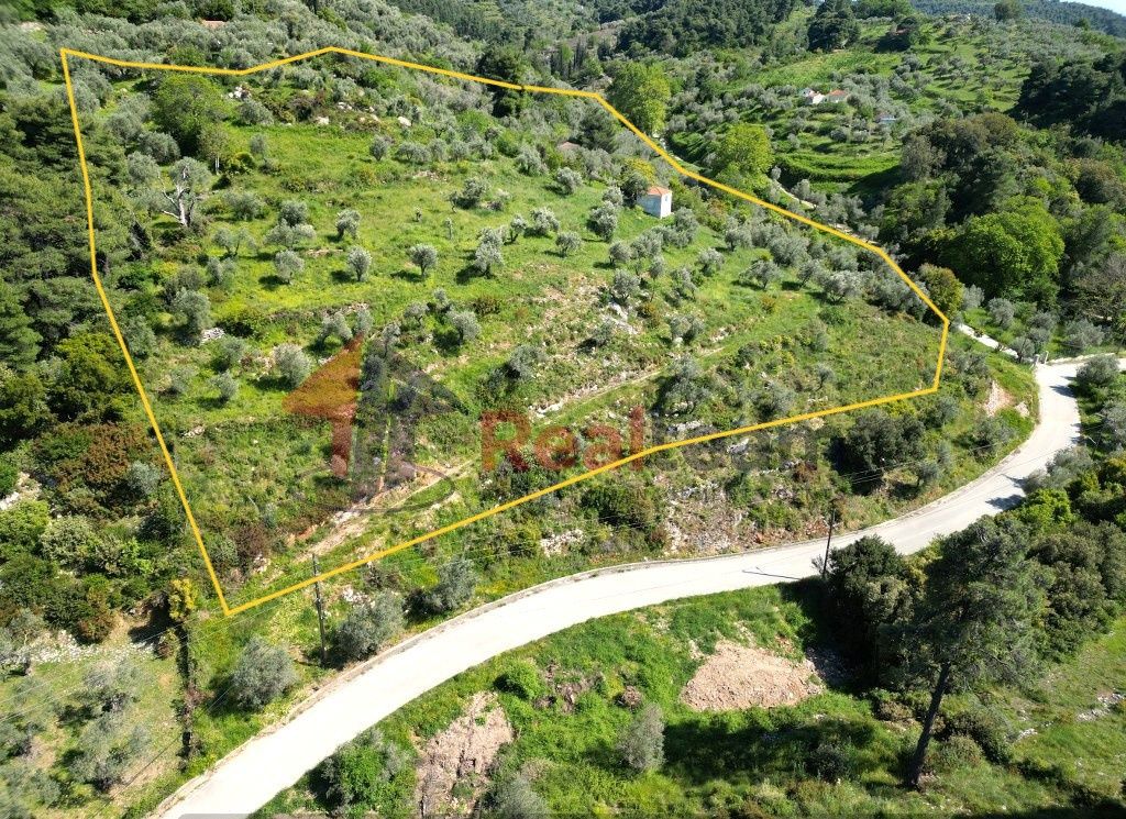 Property photo 3 of 25