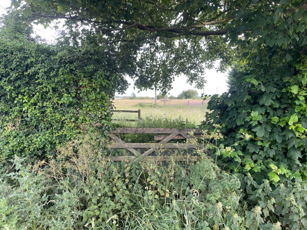 Property photo 3 of 8 Img_1594