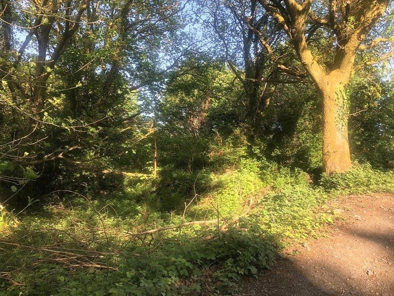 Property photo 2 of 4 Not Specified