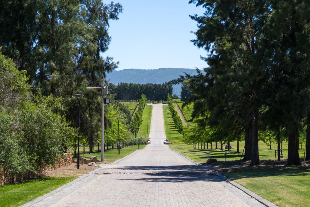 Property photo 3 of 9 St1707755