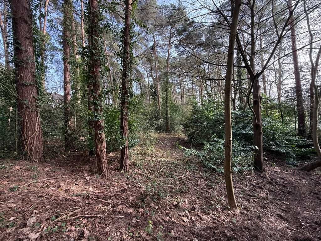Additional image 4 of Land for saleRoxburgh Close, Camberley GU15
