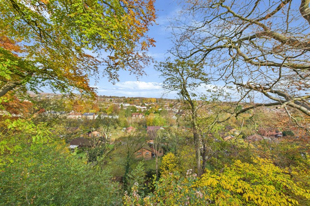 Property photo 2 of 25 View From Rear