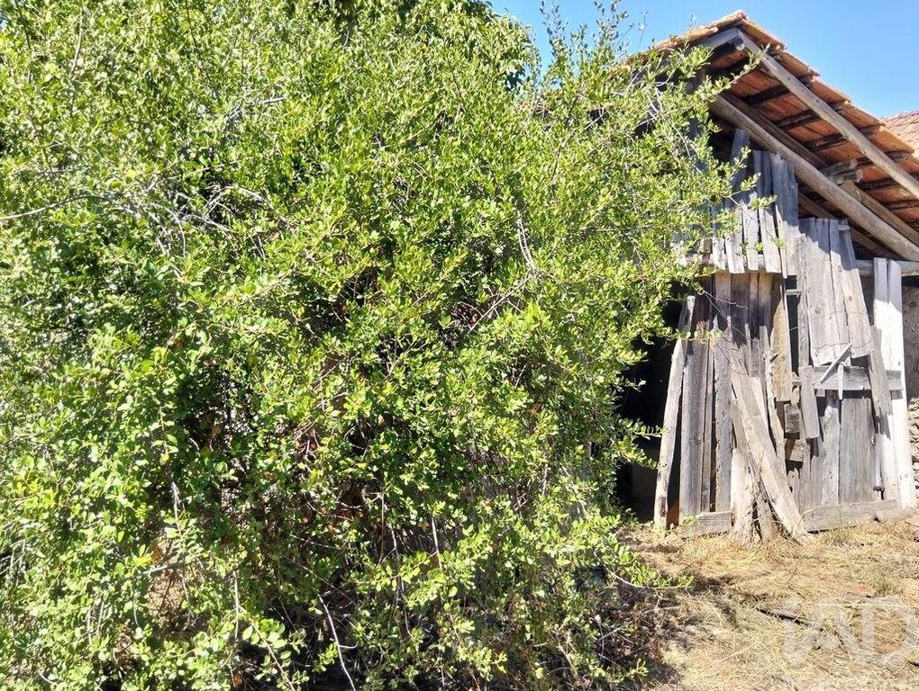 Property photo 2 of 31