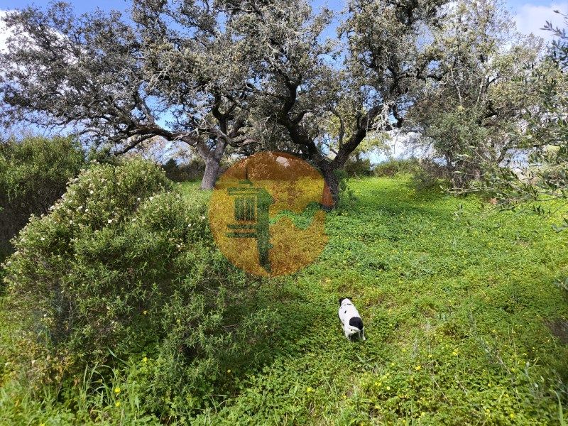 Property photo 3 of 27