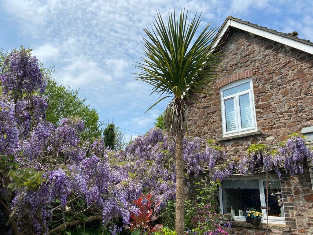 Property photo 2 of 26 4532364