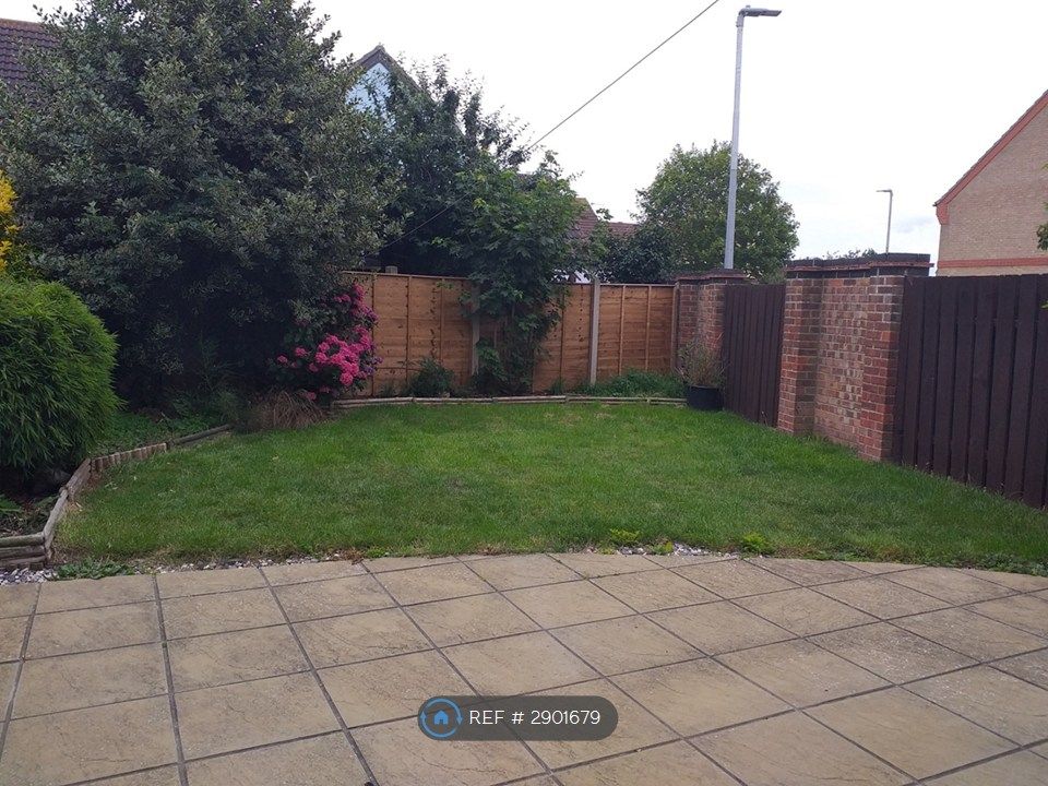 Property photo 3 of 8 Back Garden